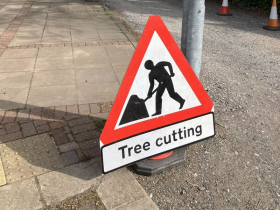 50 Years in the Community: Supporting Acorns Children’s Hospice